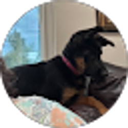 Profile photo of Denise Silas