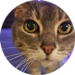 Profile photo of San Juan
