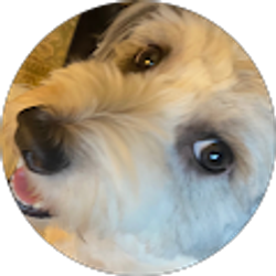 Profile photo of Marah Mawyah