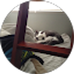 Profile photo of DS