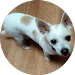 Profile photo of Dee