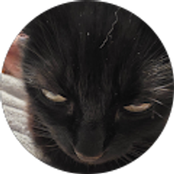 Profile photo of Hal