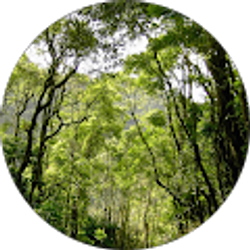 Profile photo of Alexander Chriss