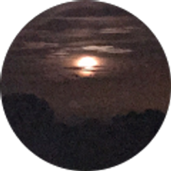 Profile photo of Jessica Hargrove