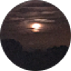 Profile photo of Jessica Hargrove