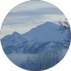 Profile photo of Kami Hutchins