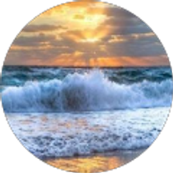 Profile photo of Terri Smith