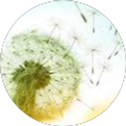 Profile photo of Christina Lane