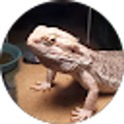 Profile photo of Jenna Crom