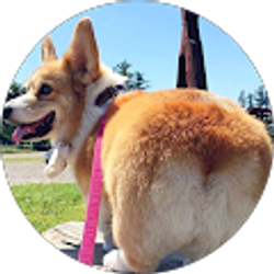 Profile photo of Alice Song