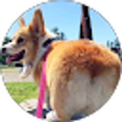 Profile photo of Alice Song