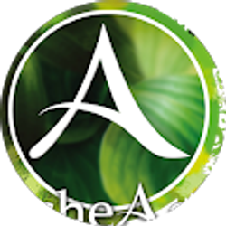 Profile photo of TOAN NGUYEN