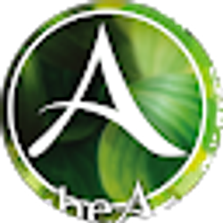 Profile photo of TOAN NGUYEN