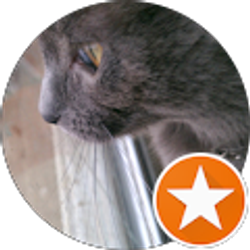 Profile photo of Lexi Doucet