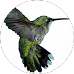 Profile photo of Nicole Housman