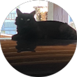 Profile photo of victor damian