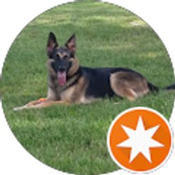 Profile photo of Bev