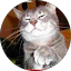 Profile photo of Jose Marquez