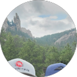 Profile photo of Richard Nichelson