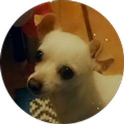 Profile photo of Jennifer Valles