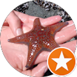 Profile photo of MARIA Szabo