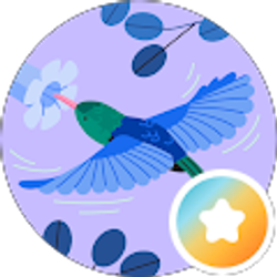 Profile photo of MAMAMOJO