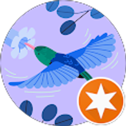 Profile photo of MAMAMOJO