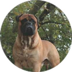 Profile photo of jason arnau