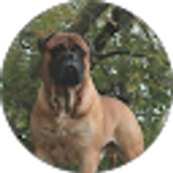 Profile photo of jason arnau