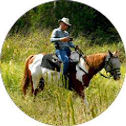 Profile photo of Ken Bell