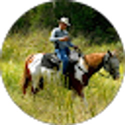 Profile photo of Ken Bell