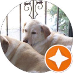 Profile photo of Jonna Garver