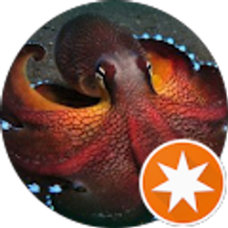 Profile photo of Decaf