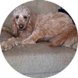 Profile photo of Ashley Pitts