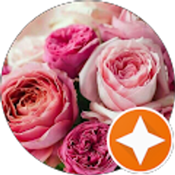 Profile photo of Diane Thomas