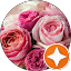 Profile photo of Diane Thomas