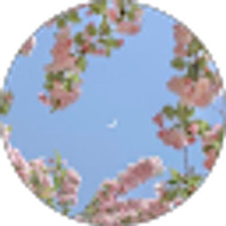 Profile photo of jade sheets