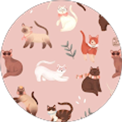 Profile photo of Cintia Alvarez