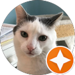 Profile photo of Deborah Makowski