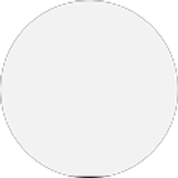 Profile photo of robert