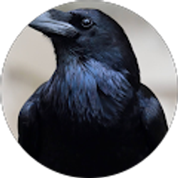 Profile photo of Philisophical Steve