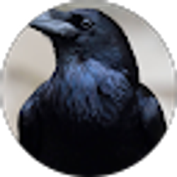 Profile photo of Philisophical Steve