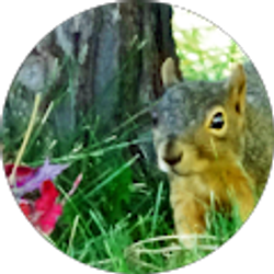 Profile photo of j bara