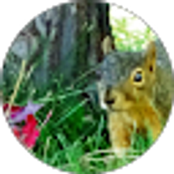 Profile photo of j bara