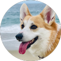 Profile photo of Stephanie Cummins