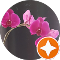 Profile photo of Yoruba Bradley