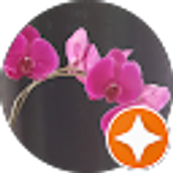 Profile photo of Yoruba Bradley