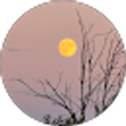 Profile photo of Kim Herl