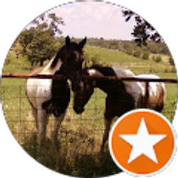 Profile photo of ColorMaker 921