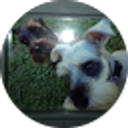 Profile photo of Dana Ellis